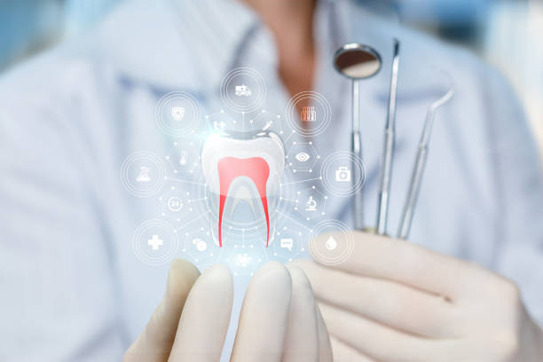 Best Dental Fillings (Composite and Amalgam)  in East Rochester, NY